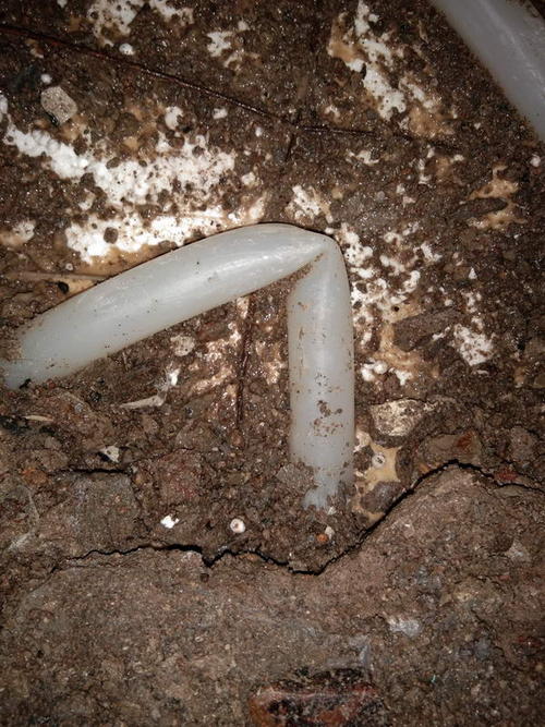 景东堵点精准查找